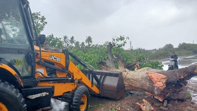 જિલ્લામાં બિપરજોય વાવાઝોડાને અનુલક્ષી જિલ્લા કલેકટર એચ કે વઢવાણિયાના માર્ગદર્શન નીચે જિલ્લા વહીવટીતંત્ર સતત કાર્યરત રહ્યુ હતુ. જેમા માર્ગ અને મકાન વિભાગ હસ્તકના સ્ટેટ, પંચાયત દ્વારા કોઈપણ જાતની કચાશ ન રહે તેમજ જિલ્લામાં ક્યાંય પણ માર્ગ પરિવહન અવરોધાય નહી તે માટે સુચારૂ આગોતરૂ આયોજન કરવામાં આવ્યું હતું.