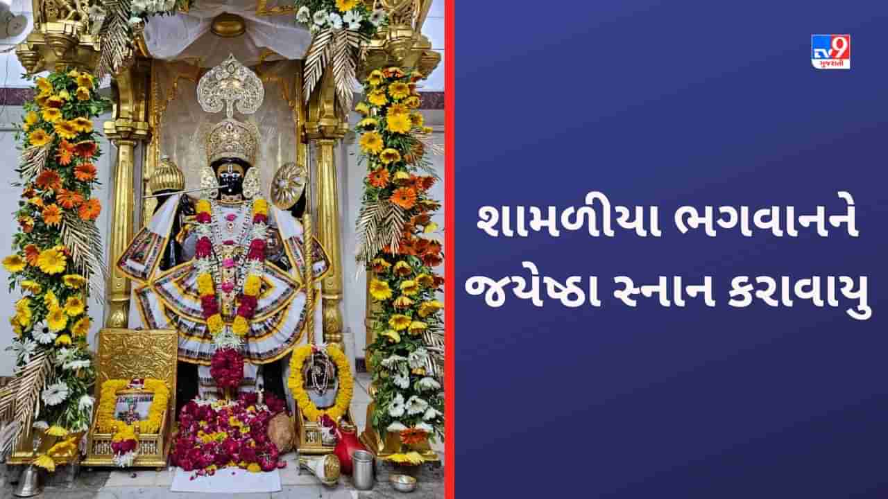 Gujarat Video: શામળીયા ભગવાનને કરાવાયુ વિશેષ સ્નાન, મોગરાના ફુલોની સુગંધ સાથે ઠંડા જળ વડે પરંપરા મુજબ કરાવાયા છે ખાસ વિધી