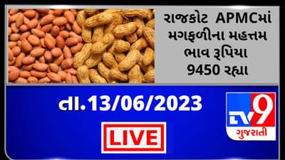 Mandi : રાજકોટ  APMCમાં મગફળી ના મહત્તમ ભાવ રૂપિયા 9450 રહ્યા, જાણો જુદા-જુદા પાકના ભાવ