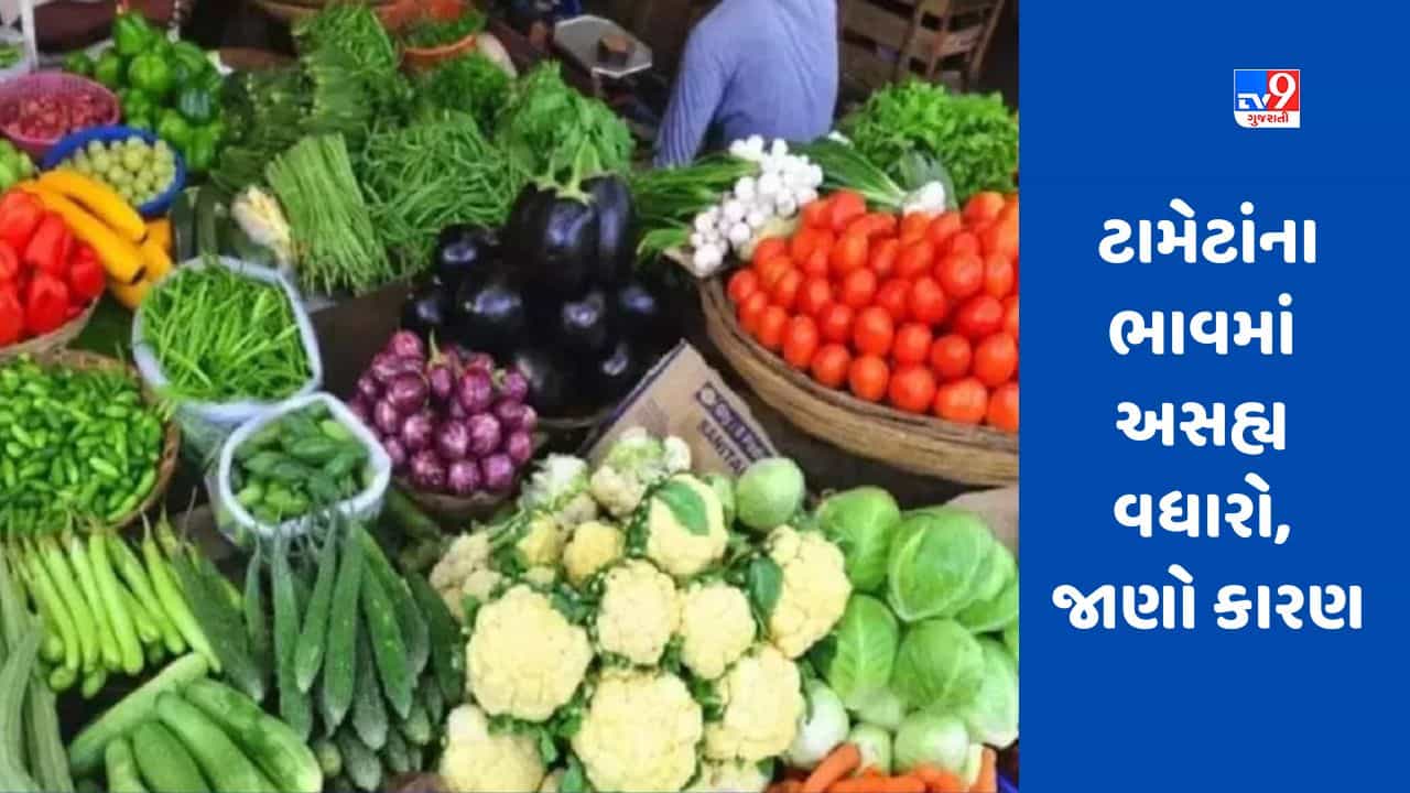 Tomato Price Hike: શું ટામેટાંની અછતના કારણે ભાવમાં વધારો થયો ? જાણો મોંઘવારીનું સાચું કારણ
