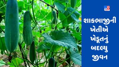 Farming: શાકભાજીની ખેતીએ ખેડૂતનું ભાગ્ય બદલ્યું, પહેલા ઘર બનાવ્યું અને હવે ટ્રેક્ટર ખરીદ્યું