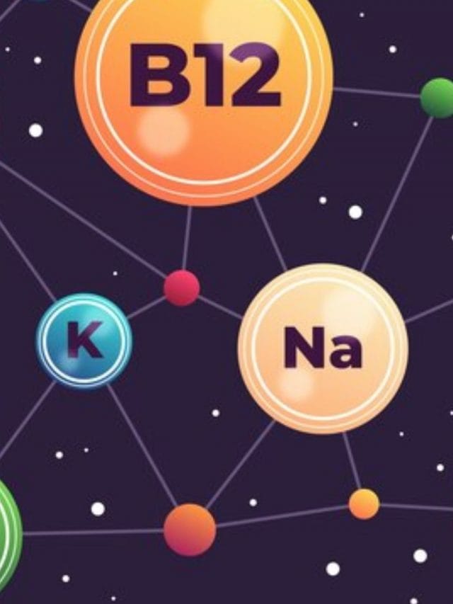 શરીરમાં વિટામિન B12 ની ઉણપ દુર કરશે આ 6 વસ્તુ Tv9 Gujarati