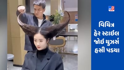 શું તમે ક્યારેય આવી હેરસ્ટાઇલ જોઈ છે ? Viral video જોઈને લોકો હસવાનું રોકી ન શક્યા