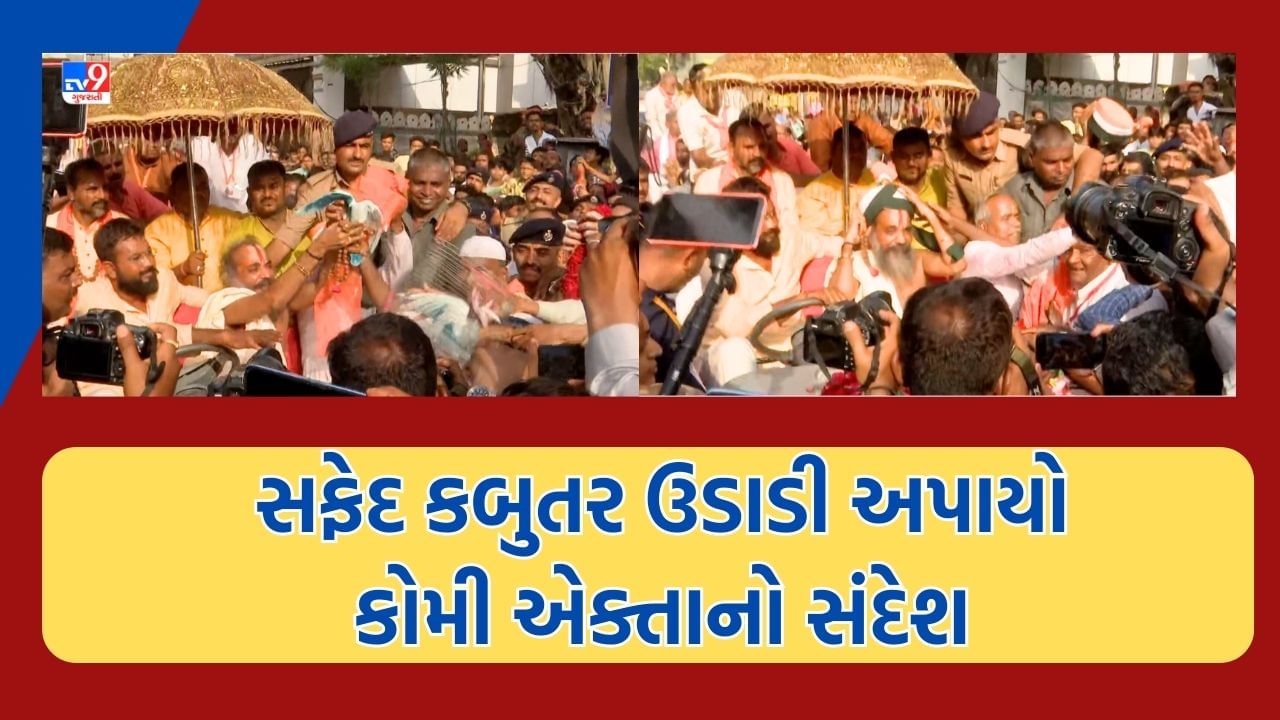 Gujarat Video : દરિયાપુરમાં જગન્નાથજીની રથયાત્રાનું ભવ્ય સ્વાગત, મહંત દિલિપ દાસજી અને મુસ્લિમ આગેવાનોએ શાંતિદૂત સમાન કબુતર ઉડાડી આપ્યો કોમી એક્તાનો સંદેશ