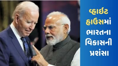 ભારતમાં લોકશાહી પર સવાલ ઉઠાવનારાઓને અમેરિકાનો જડબાતોડ જવાબ, કહ્યું 'દિલ્હી જાઓ અને જાતે જોઈ લો'...