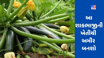 Farming : આ છે 5 મોંઘા લીલા શાકભાજી, ખેતી કરીને બનશો અમીર, જાણો ખાસિયત