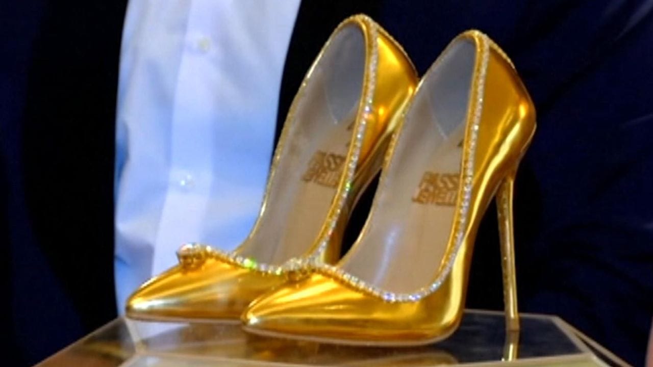 પેશન ડાયમંડ શૂઝ (Passion Diamond Shoes)પેશન ડાયમંડ શૂઝની કિંમત $17 મિલિયન (રૂ. 1,39,99,06,650) છે. તે જુતા દુબઈ અને પેશન જ્વેલર્સ દ્વારા સંયુક્ત રીતે બનાવવામાં આવ્યું હતું. તેમાં બે 15 કેરેટ ડી-ગ્રેડના હીરા છે. ઉપરાંત, ટ્રીમને સજાવવા માટે 238 હીરાનો અલગથી ઉપયોગ કરવામાં આવ્યો છે. જૂતા બનાવનારાઓએ આ શૂઝને શુદ્ધ સોનામાંથી બનાવવામાં 9 મહિનાનો સમય લીધો હતો. તે વેચાયા છે કે નહીં તે જાણી શકાયું નથી.