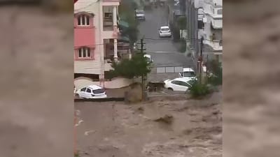 ગુજરાતમાં ભારે વરસાદ બાદ અનેક શહેરોમાં પૂર જેવી સ્થિતિ સર્જાઈ છે. છેલ્લા ઘણા દિવસોથી પડી રહેલા વરસાદને કારણે અનેક ઘરોમાં પાણી ભરાઈ ગયા છે. વરસાદના કારણે ડેમ અને નદીઓના જળસ્તર ખતરાના નિશાન પર પહોંચી ગયા છે.