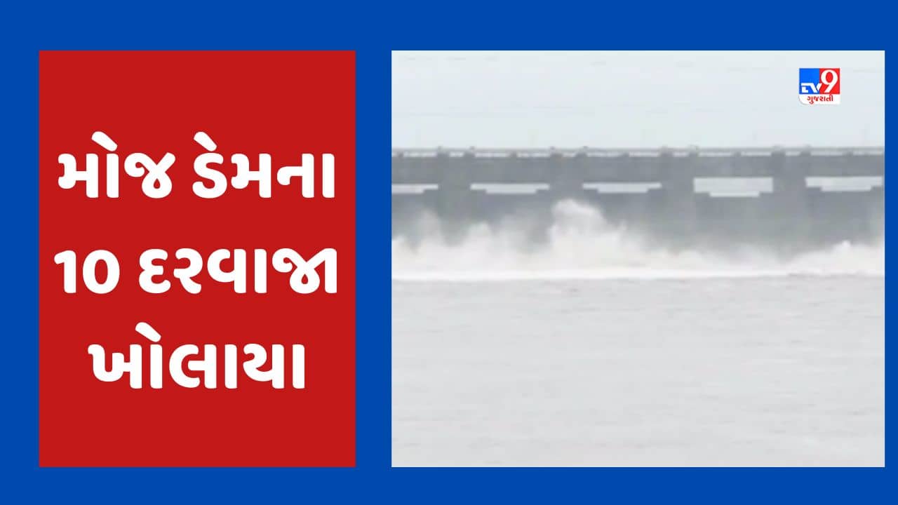 Rajkot Moj Dam Video : ઉપરવાસમાં ભારે વરસાદથી મોજ ડેમમાં પાણીની આવક વધી, ડેમના 10 દરવાજા 4 ફુટ સુધી ખોલી દેવાયા