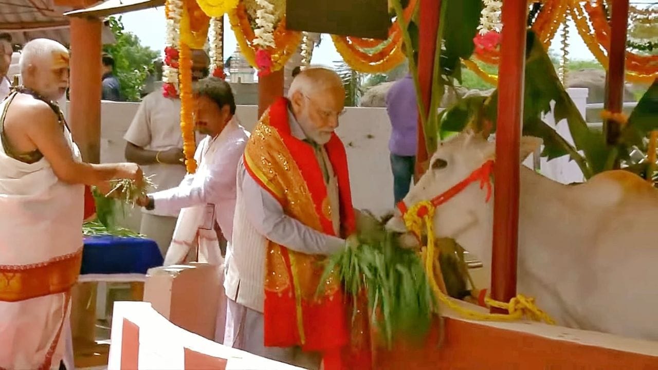 ભદ્રકાલી મંદિરમાં વિશેષ પૂજા કરતા પહેલા વડાપ્રધાન મોદીએ ગૌશાળાની મુલાકાત લીધી હતી. PM ગૌશાળામાં ગાયોને ઘાસચારો ખવડાવતા જોવા મળ્યા હતા.