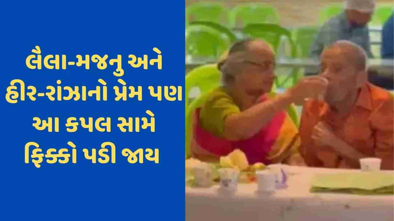 Viral Video: છોડેંગે ના હમ તેરા સાથ...ઓ સાથી મરતે દમ તક, વૃદ્ધ યુગલનો પ્રેમ જોઈને લોકો થયા ભાવુક