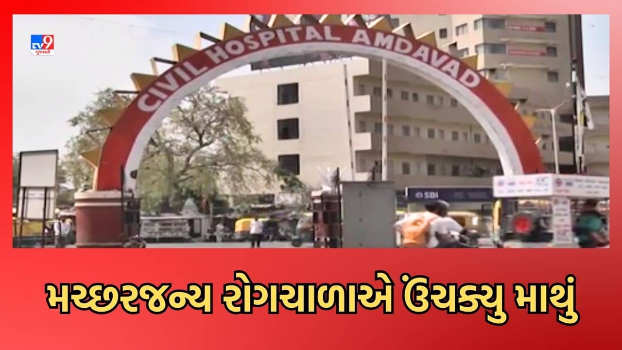 Gujarati Video: મચ્છરજન્ય રોગચાળાને નાથવા AMCની આરોગ્ય વિભાગની ટીમ એક્શનમાં, 197 એકમોને ફટકારાઈ નોટિસ