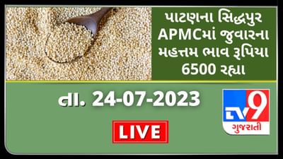 Mandi : પાટણના સિદ્ધપુર APMCમાં જુવારના મહત્તમ ભાવ રૂપિયા 6500 રહ્યા, જાણો જુદા-જુદા પાકના ભાવ