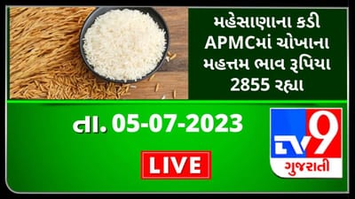 Mandi : મહેસાણાના કડી APMCમાં ચોખાના મહત્તમ ભાવ રૂપિયા 2855 રહ્યા, જાણો જુદા-જુદા પાકના ભાવ Mandi : મહેસાણાના કડી APMCમાં ચોખાના મહત્તમ ભાવ રૂપિયા 2855 રહ્યા, જાણો જુદા-જુદા પાકના ભાવ