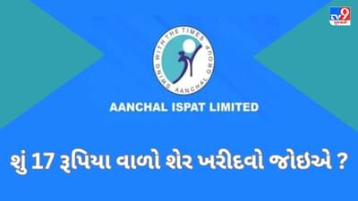 17 રૂપિયા વાળા શેરની આ કંપનીએ કર્યો કરોડોનો નફો, સ્ટોકની કિંમત વધે તેવા એંધાણ