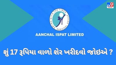 17 રૂપિયા વાળા શેરની આ કંપનીએ કર્યો કરોડોનો નફો, સ્ટોકની કિંમત વધે તેવા એંધાણ