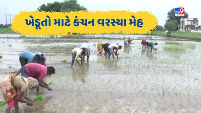 સુરત જિલ્લામાં સારો વરસાદ વરસ્યા બાદ ખેડૂતોએ ચોમાસુ પાકની શરૂ કરી વાવણી, જુઓ Video