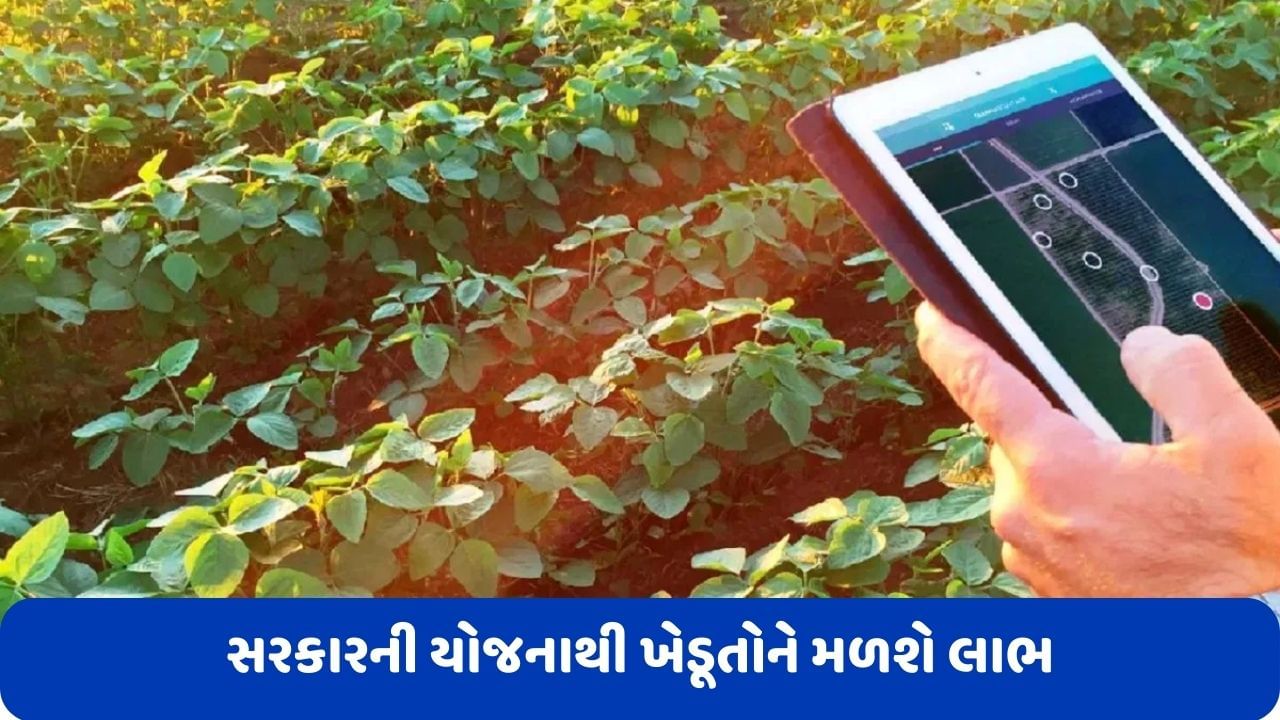 Agriculture Scheme: શું છે સરકારની ડિજિટલ પાક સર્વે યોજના, જાણો કેવી રીતે ખેડૂતોને મળશે તેનો લાભ