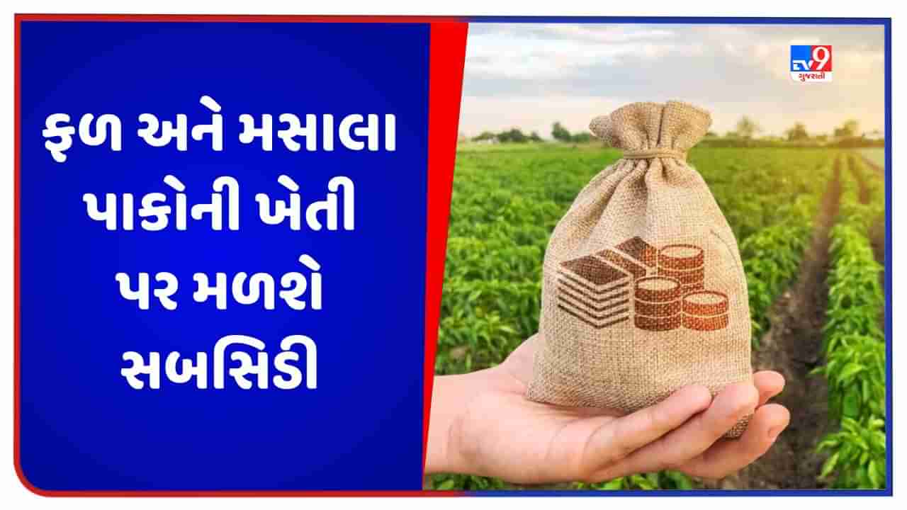 Agriculture Subsidy: ફળ અને મસાલા પાકોની ખેતી પર મળશે સબસિડી, ખર્ચ ઘટવાથી ખેડૂતોની આવક વધશે