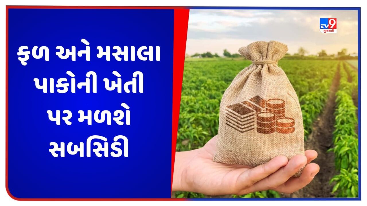 Agriculture Subsidy: ફળ અને મસાલા પાકોની ખેતી પર મળશે સબસિડી, ખર્ચ ઘટવાથી ખેડૂતોની આવક વધશે