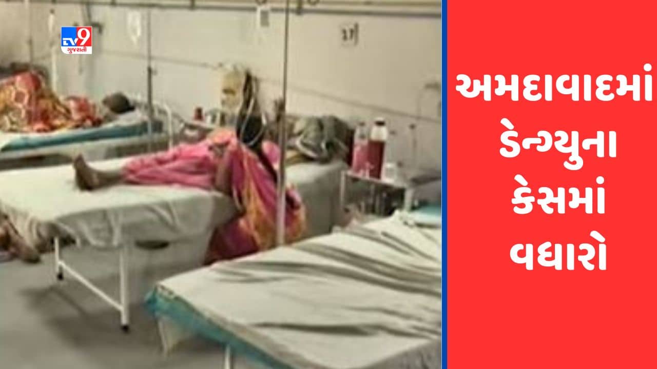Gujarati Video :અમદાવાદમાં ડેન્ગ્યુના કેસમાં વધારો, સોલા સિવિલમાં ડેન્ગ્યુના 70 કેસ નોંધાયા