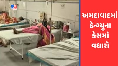 Gujarati Video :અમદાવાદમાં ડેન્ગ્યુના કેસમાં વધારો, સોલા સિવિલમાં ડેન્ગ્યુના 70 કેસ નોંધાયા
