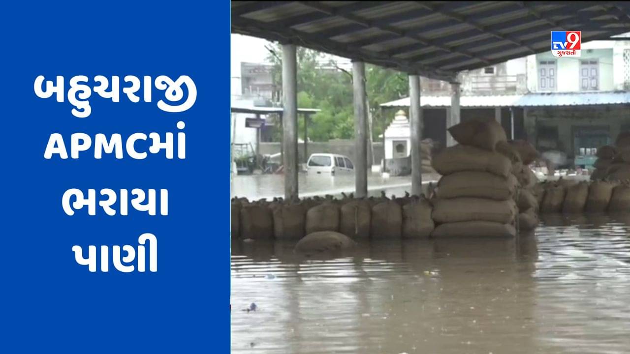 મહેસાણાના બહુચરાજીમાં 7 ઈંચ વરસાદ ખાબકતાં APMCમાં પડેલી જણસી પલળી, જુઓ video