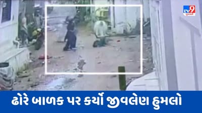 Banaskantha : સલેમપુરા વિસ્તારમાં રખડતા ઢોરે બાળક પર કર્યો જીવલેણ હુમલો, Videoમાં CCTV ફૂટેજ જુઓ