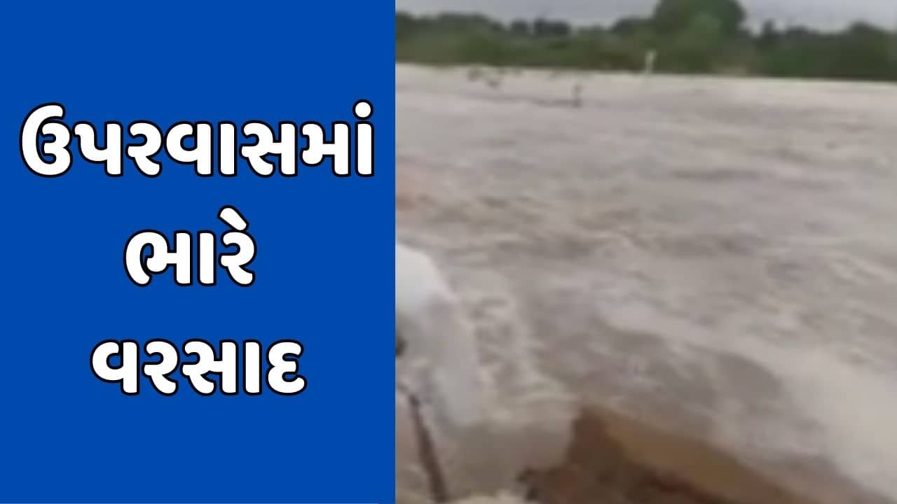Monsoon 2023 : બનાસકાંઠાના ઉપરવાસમાં ભારે વરસાદથી ડીસાના ભાચરવા ગામની વધી મુશ્કેલી, જુઓ Video