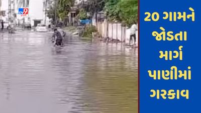Banaskantha : ભારે વરસાદના પગલે 20 ગામને જોડતા માર્ગ પાણીમાં ગરકાવ