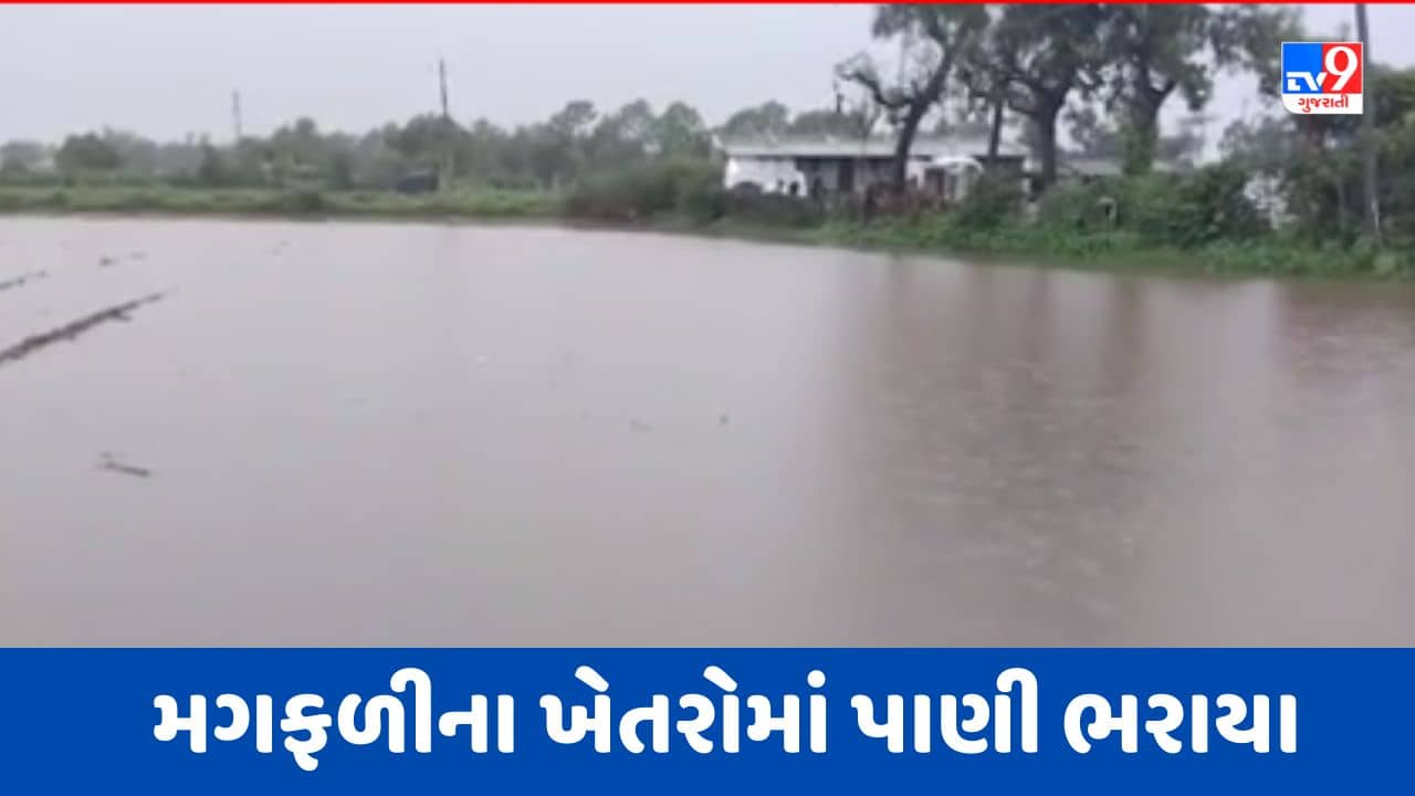 Rain In Banaskantha: અમીરગઢમાં ભારે વરસાદ, મગફળીના વાવેતરમાં પાણી ભરાતા ખેડૂતો ચિંતિત, જુઓ Video