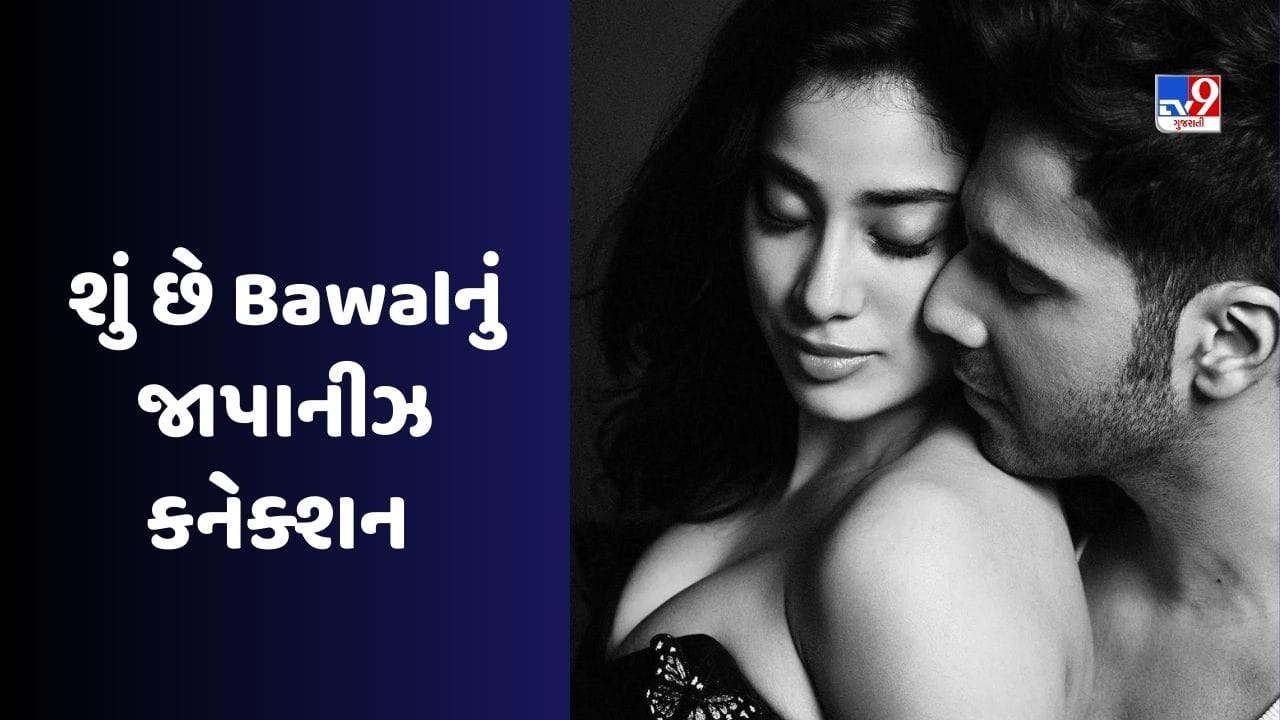 એવું તો શું છે Bawal ફિલ્મમાં કે જાપાનના લોકોએ પણ ફિલ્મ રિલીઝ કરવાની માગ કરી, જાણો કારણ