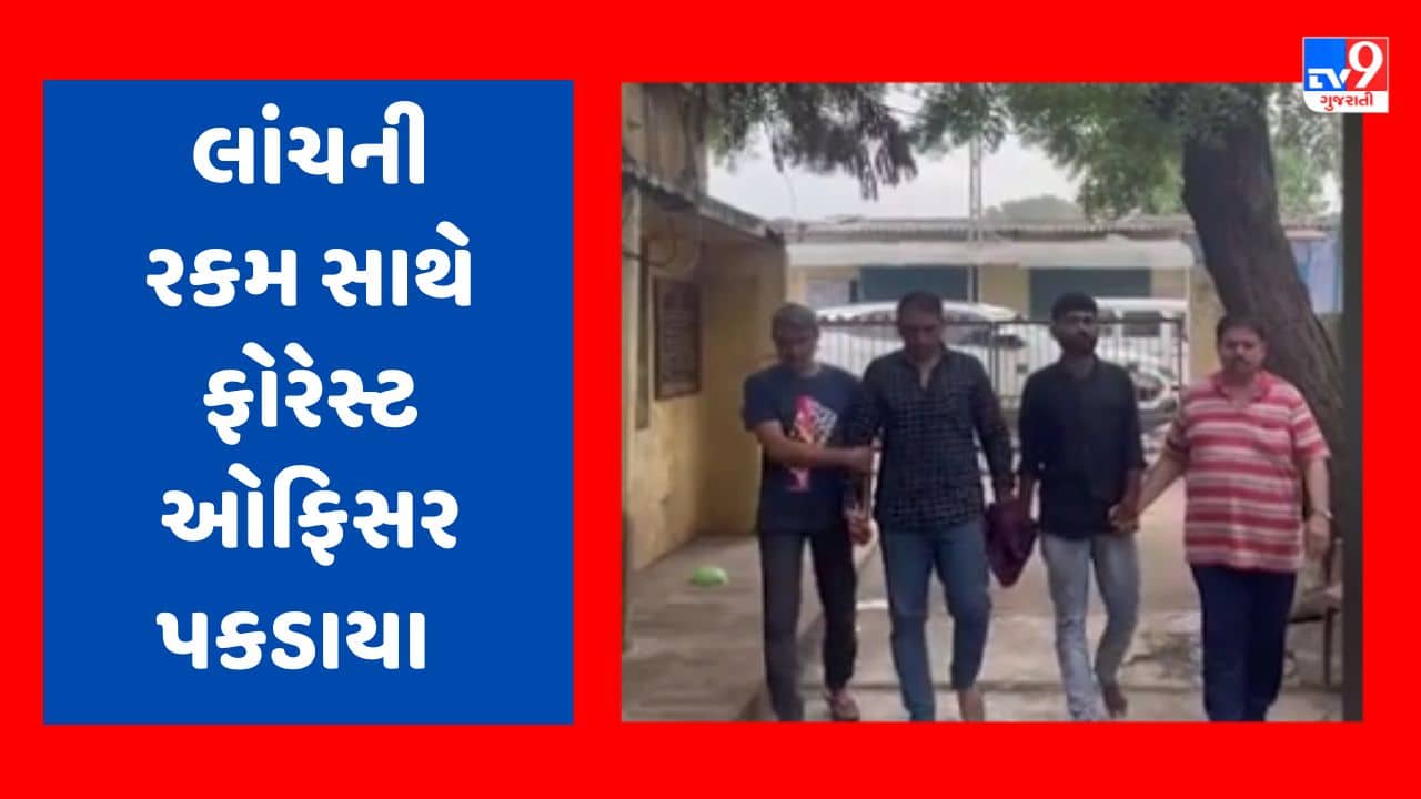 Gujarati Video : ભાવનગરમાં લાંચના કેસમાં RFO જીતુ ઝીંઝાળા અને વચેટિયોની કરી અટકાયત