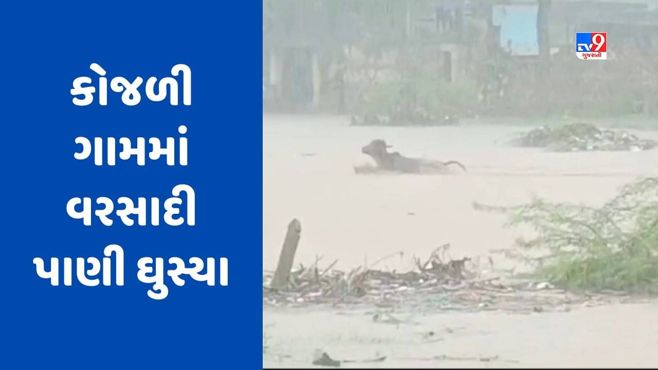Bhavnagar : મહુવાના કોજળી ગામમાં વરસાદી પાણી ઘુસ્યા, નદી કાંઠા પર આવેલી સ્કૂલમાં ઘૂંટણસમા પાણી ભરાયા, જુઓ Video