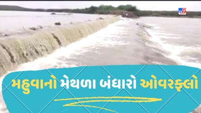 Bhavnagar : મહુવા તાલુકાનો મેથળા બંધારો ઓવરફ્લો, ડેમ પાણીથી છલકાતા ખેડૂતોમાં આનંદની લાગણી છવાઇ, જૂઓ Video Bhavnagar : મહુવા તાલુકાનો મેથળા બંધારો ઓવરફ્લો, ડેમ પાણીથી છલકાતા ખેડૂતોમાં આનંદની લાગણી છવાઇ, જૂઓ Video