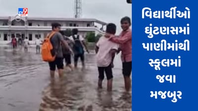 Gujarati Video :  છોટાઉદેપુરમાં માંકણી ગામના વિદ્યાર્થીઓ ઘુંટણસમાં પાણીમાંથી સ્કૂલમાં જવા મજબુર
