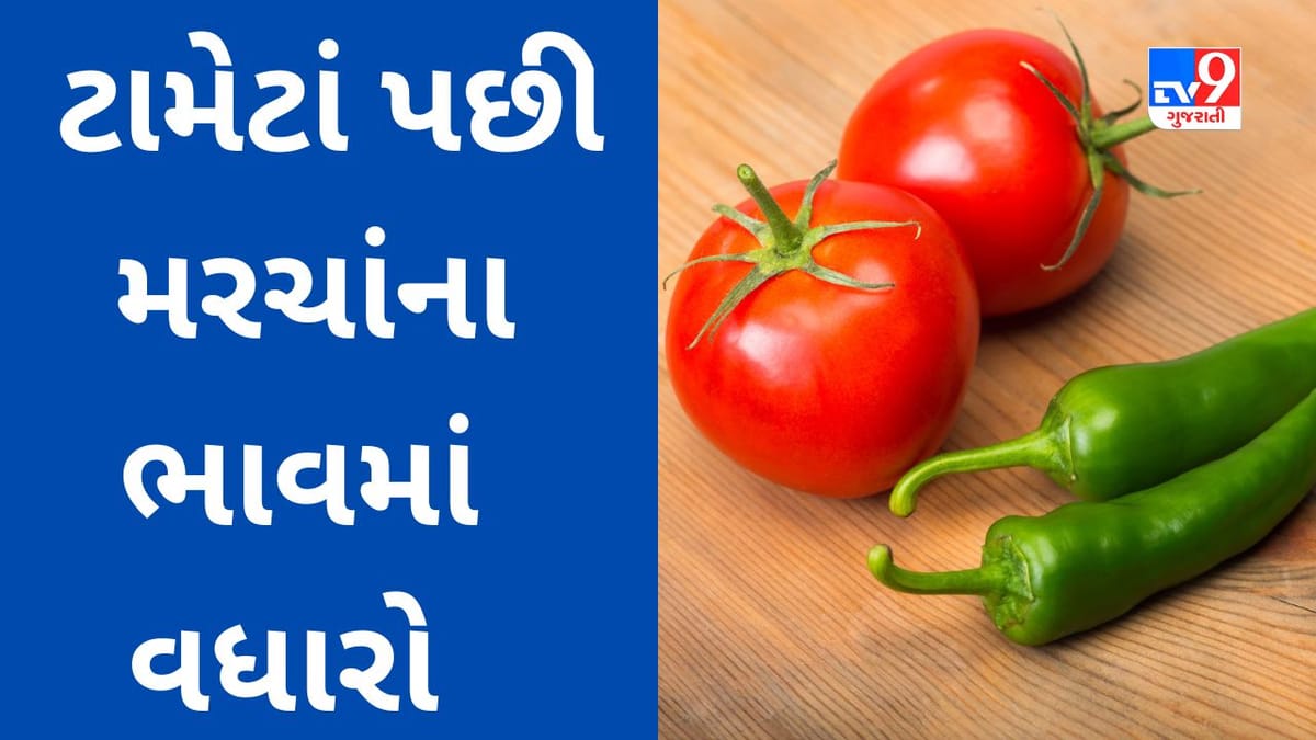 Commodity Market Today : લાલચોળ ટામેટાં પછી મરચાની તીખાશમાં વધારો, શાકભાજીના ભાવ આસમાનને આંબ્યાં Commodity Market Today : લાલચોળ ટામેટાં પછી મરચાની તીખાશમાં વધારો, શાકભાજીના ભાવ આસમાનને આંબ્યાં
