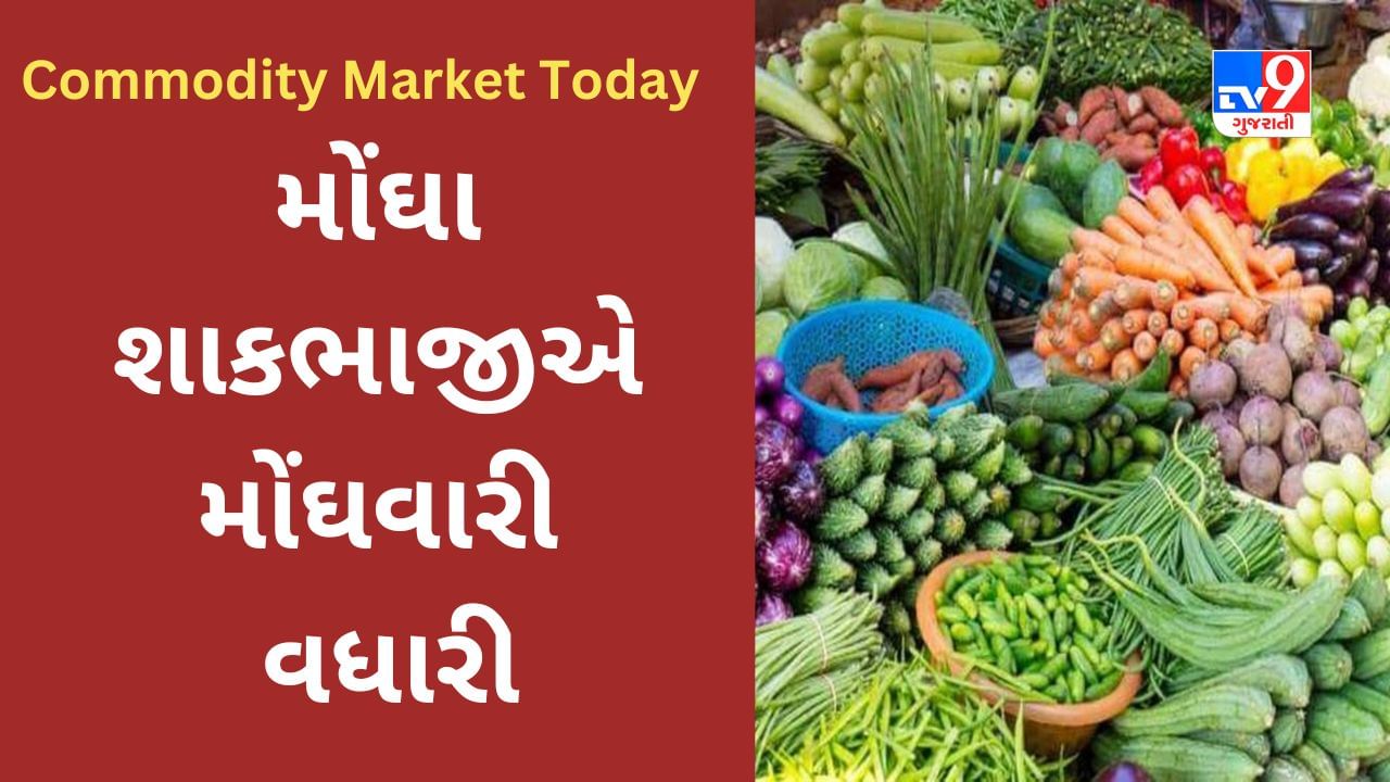 Commodity Market Today : મોંઘા શાકભાજીએ મોંઘવારી વધારી, જાણો શું પડી અસર?