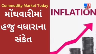 Commodity Market Today : મોંઘવારી સહીતના પરિબળોનો કોમોડિટી બજાર ઉપર શું પ્રભાવ પડી રહ્યો છે? જાણો અહેવાલ દ્વારા