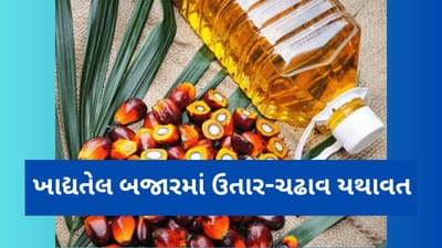 Commodity Market today : ખાદ્યતેલ બજારમાં ઉતાર-ચઢાવ ચાલુ, જાણો કેવી રહેશે આગળની ચાલ