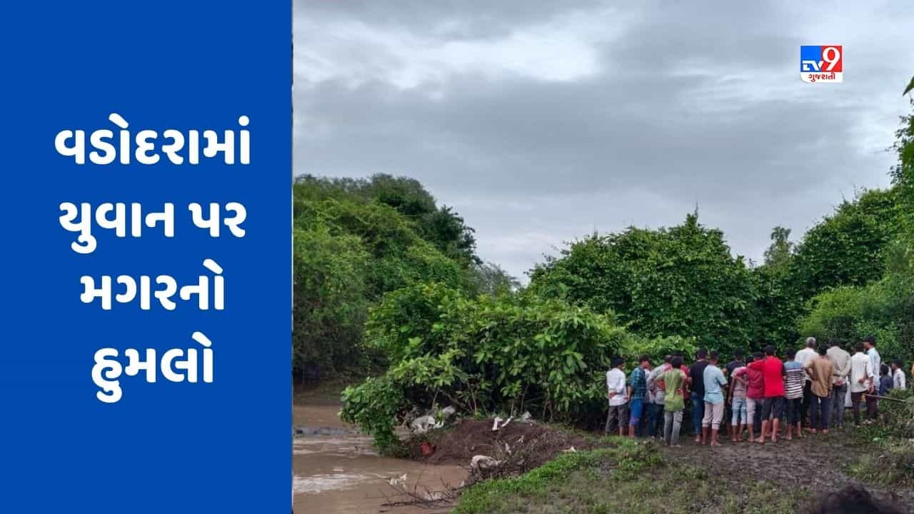 વડોદરાના સરાર ગામે યુવાનને મગર ખેંચી ગયો, ફાયર વિભાગની ટીમે શોધખોળ હાથ ધરી, જુઓ Video