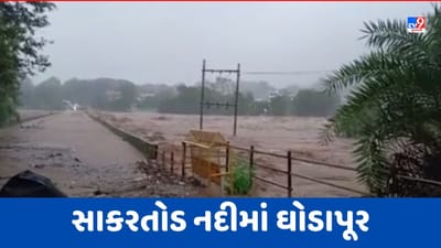 Rain : દાદરા નગર હવેલીમાં ભારે વરસાદના પગલે સાકરતોડ નદીમાં ઘોડાપૂર, ખાનવેલમાં એક હોટલની પ્રોટેક્શન વોલ તૂટી, જુઓ Video
