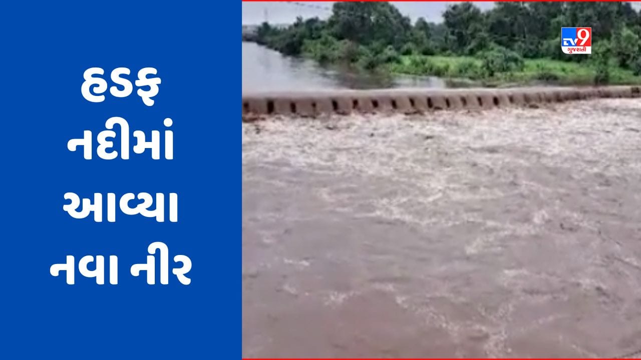 Dahod Rain : લીમખેડા પંથકમાં ધોધમાર વરસાદના પગલે હડફ નદીમાં આવ્યા નવા નીર, જુઓ Video Dahod Rain : લીમખેડા પંથકમાં ધોધમાર વરસાદના પગલે હડફ નદીમાં આવ્યા નવા નીર, જુઓ Video