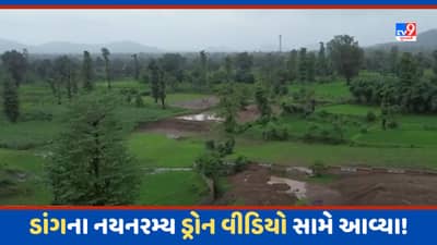 Dang Video: ડાંગનુ સૌંદર્ય ખીલી ઉઠ્યુ, ડ્રોનની નજરથી મન મોહી લેનારો અદ્રભૂત નયનરમ્ય નજારો જોવા મળ્યો, જુઓ