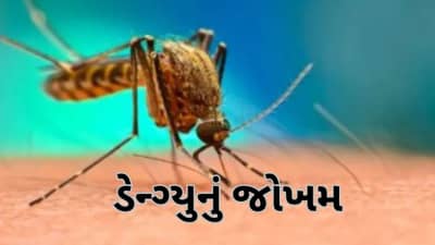 ડેન્ગ્યુનો D-2 સ્ટ્રેન જીવલેણ બની શકે છે, જાણો નિષ્ણાતો પાસેથી લક્ષણો અને નિવારણની પદ્ધતિ