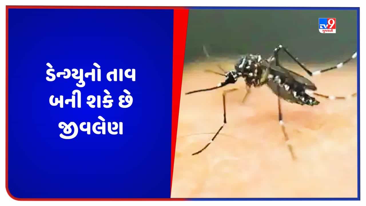 Dengue Fever: ડેન્ગ્યુ તાવ ક્યારે જીવલેણ બને છે, તેના લક્ષણો શું છે? જાણો શું કહે છે નિષ્ણાંત