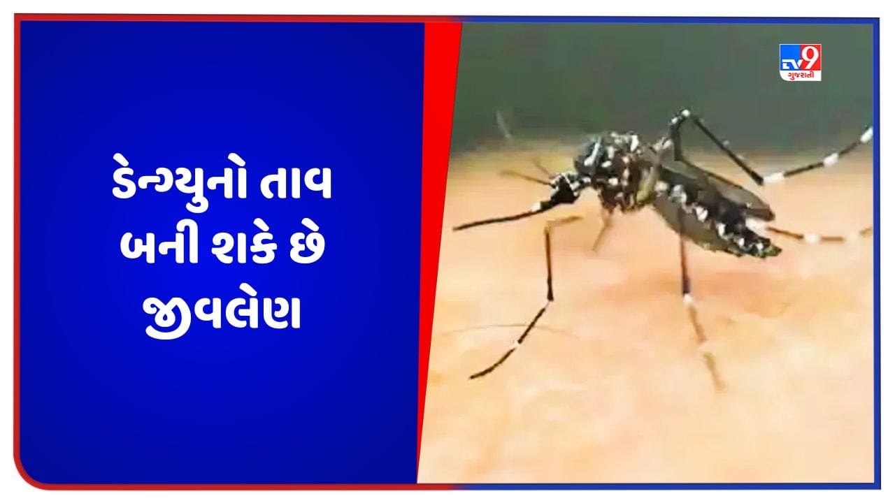 Dengue Fever: ડેન્ગ્યુ તાવ ક્યારે જીવલેણ બને છે, તેના લક્ષણો શું છે? જાણો શું કહે છે નિષ્ણાંત