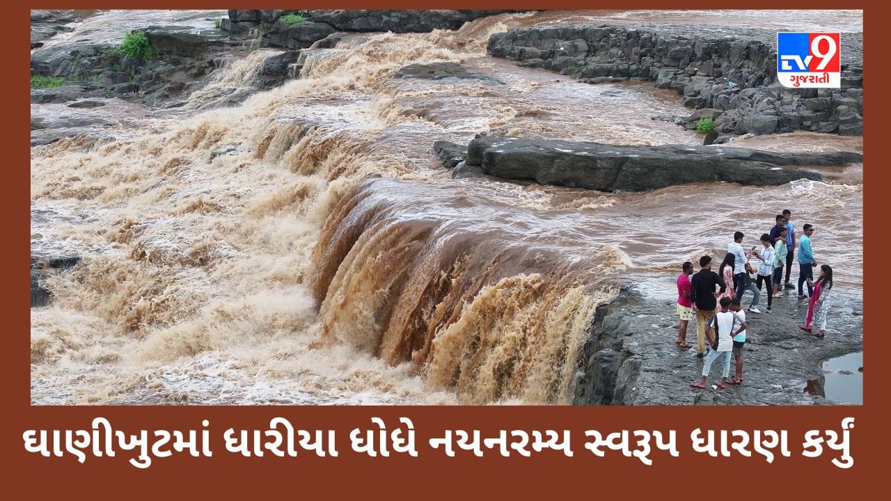 Netrang Water Fall નેત્રંગ તાલુકાના ઘાણીખુટમાં ધારીયા ધોધે નયનરમ્ય સ્વરૂપ ધારણ કર્યું, જુઓ ...