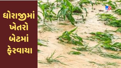 Gujarati Video : રાજકોટના ધોરાજીમાં સતત વરસાદે તારાજી સર્જી, ખેતરો બેટમાં ફેરવાયા Gujarati Video : રાજકોટના ધોરાજીમાં સતત વરસાદે તારાજી સર્જી, ખેતરો બેટમાં ફેરવાયા