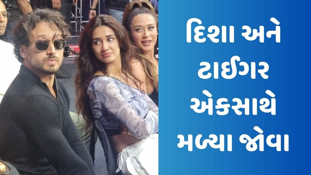 બ્રેકઅપના સમાચાર વચ્ચે દિશા પટની અને ટાઈગર શ્રોફ એકસાથે મળ્યા જોવા, જુઓ Video બ્રેકઅપના સમાચાર વચ્ચે દિશા પટની અને ટાઈગર શ્રોફ એકસાથે મળ્યા જોવા, જુઓ Video